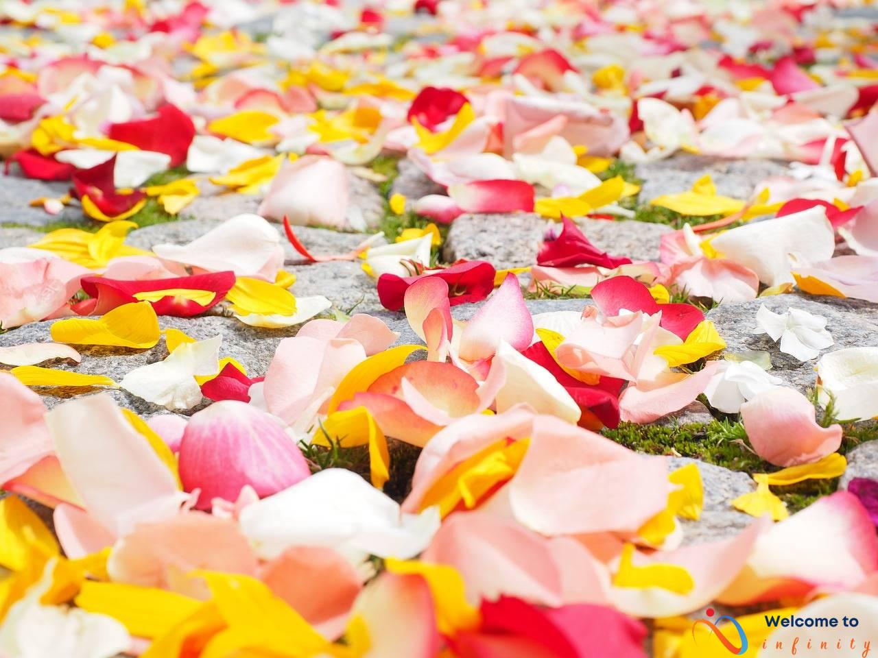 DIY Wedding Backdrop Ideas