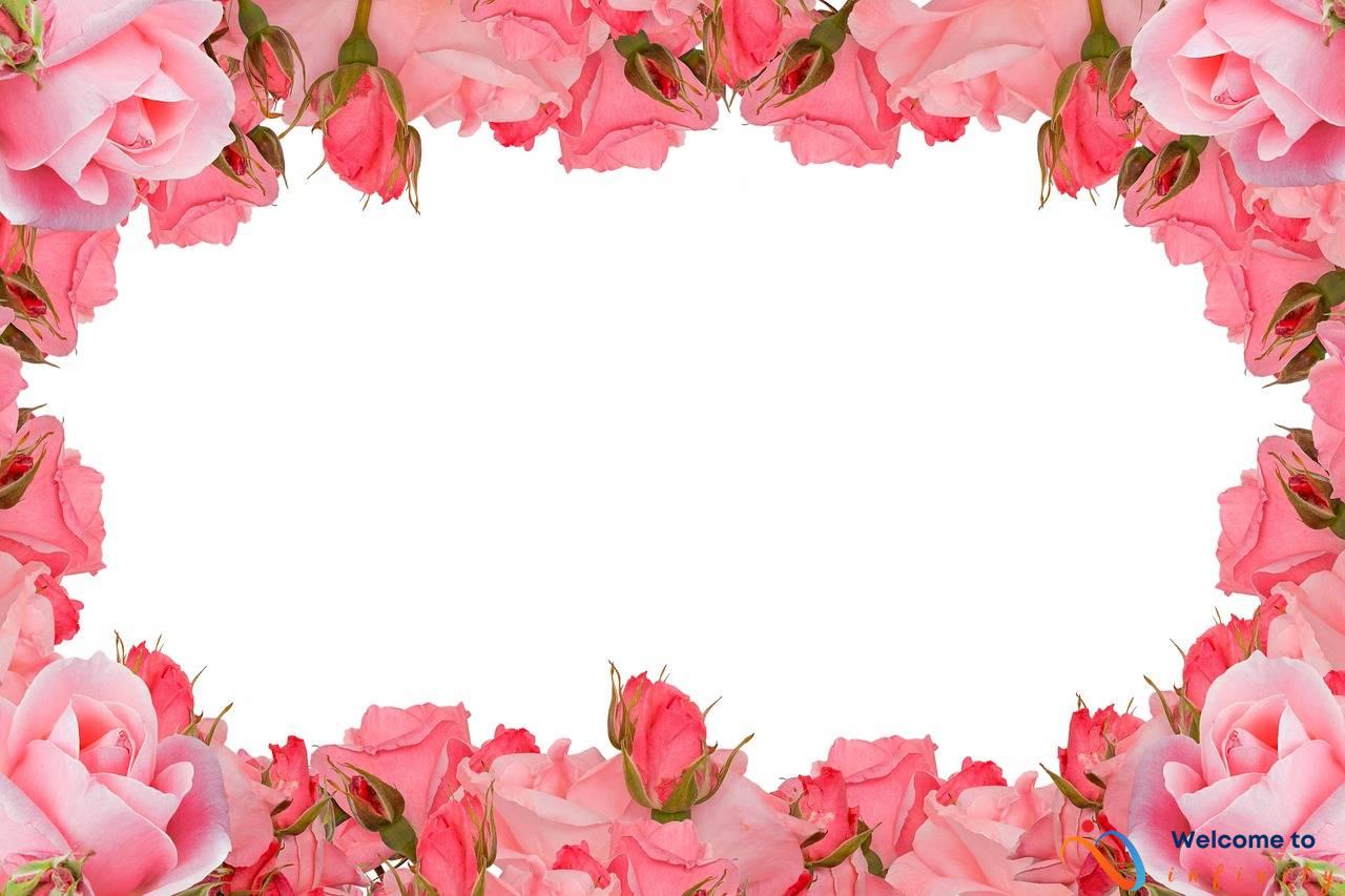 DIY Wedding Programs: Creative Inspiration with Templates