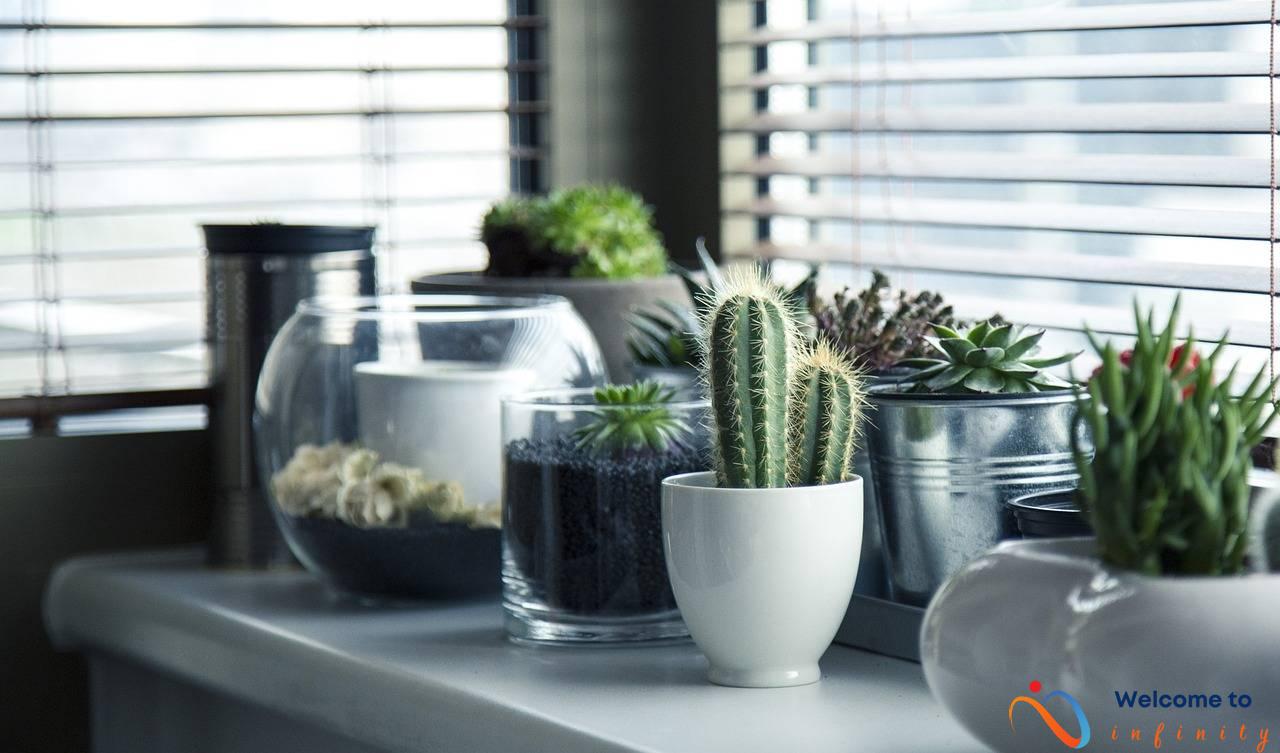 Easy DIY Home Staging Ideas to Transform Your House