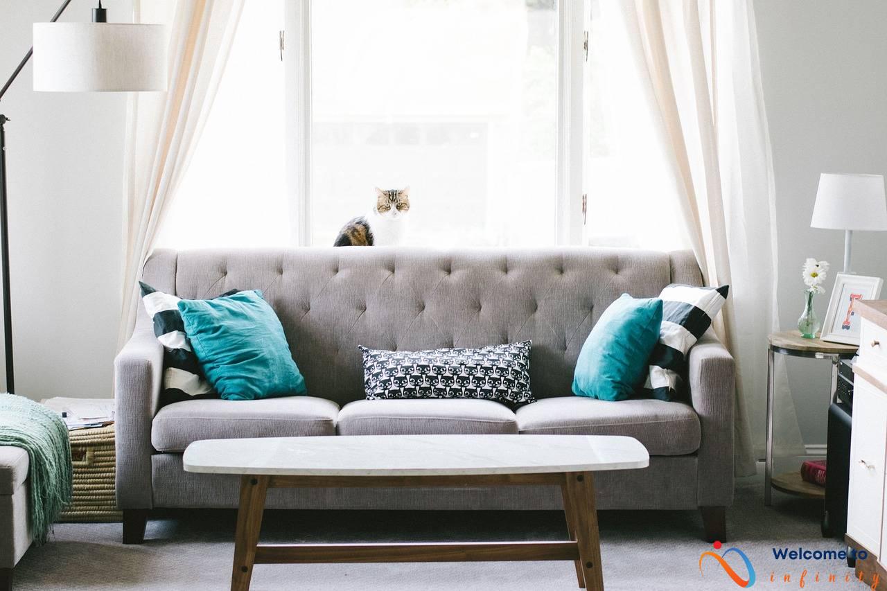 Patio Privacy: How to Create a Secluded Outdoor Space