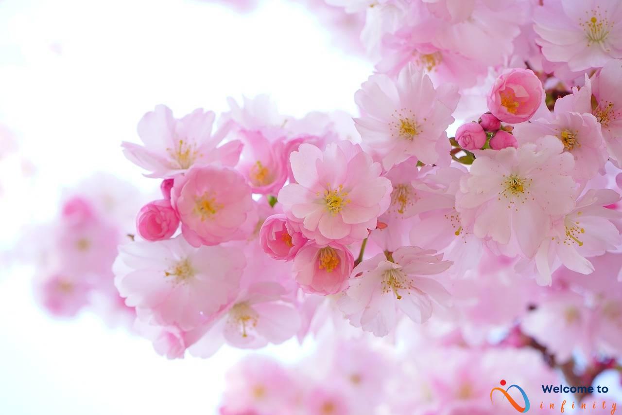 The Best Natural Ingredients for Clear Skin