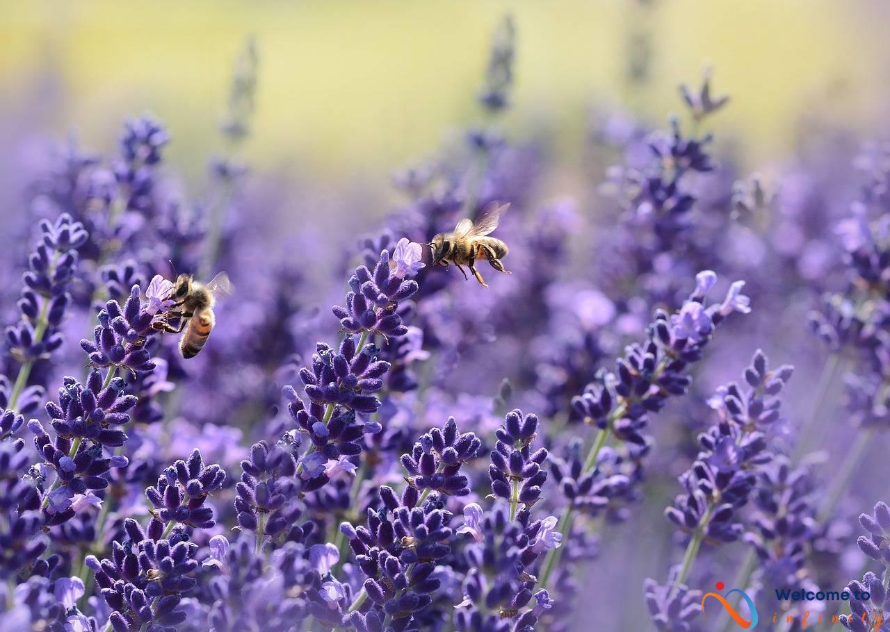 The Role of Genetics in Acne and Skincare